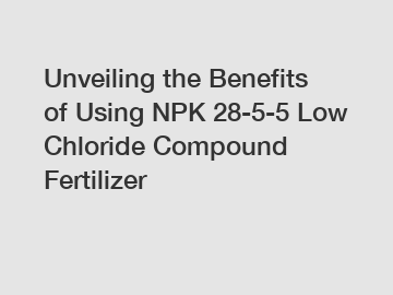 Unveiling the Benefits of Using NPK 28-5-5 Low Chloride Compound Fertilizer