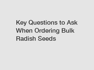 Key Questions to Ask When Ordering Bulk Radish Seeds