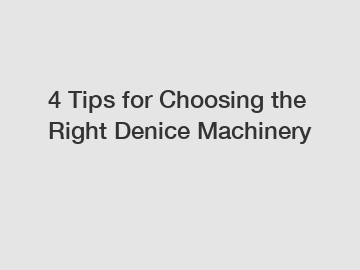 4 Tips for Choosing the Right Denice Machinery