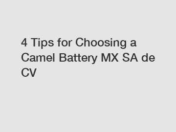 4 Tips for Choosing a Camel Battery MX SA de CV