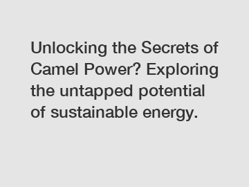 Unlocking the Secrets of Camel Power? Exploring the untapped potential of sustainable energy.