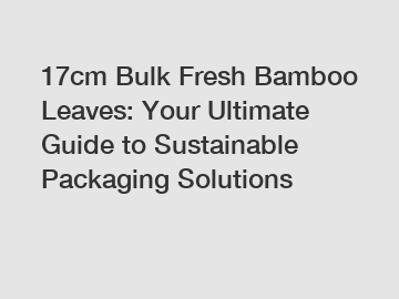 17cm Bulk Fresh Bamboo Leaves: Your Ultimate Guide to Sustainable Packaging Solutions