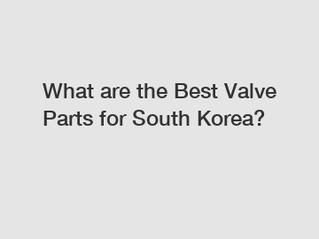 What are the Best Valve Parts for South Korea?