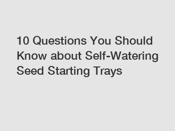 10 Questions You Should Know about Self-Watering Seed Starting Trays