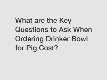 What are the Key Questions to Ask When Ordering Drinker Bowl for Pig Cost?