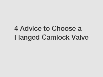 4 Advice to Choose a Flanged Camlock Valve