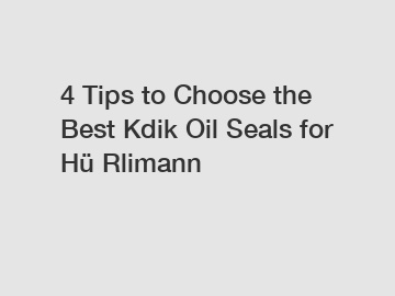 4 Tips to Choose the Best Kdik Oil Seals for Hü Rlimann