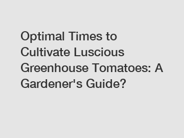 Optimal Times to Cultivate Luscious Greenhouse Tomatoes: A Gardener's Guide? Optimal Times to Cultivate Luscious Greenhouse Tomatoes: A Gardener's Guide?