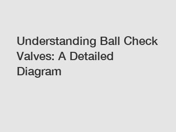 Understanding Ball Check Valves: A Detailed Diagram