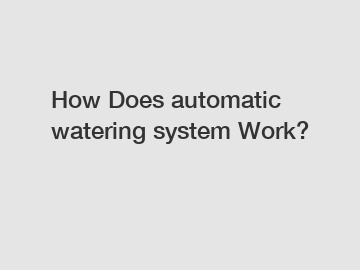 How Does automatic watering system Work?