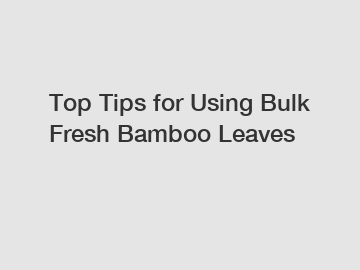 Top Tips for Using Bulk Fresh Bamboo Leaves