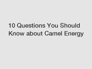 10 Questions You Should Know about Camel Energy
