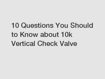 10 Questions You Should to Know about 10k Vertical Check Valve