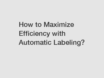 How to Maximize Efficiency with Automatic Labeling?