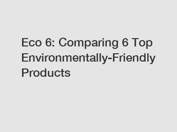 Eco 6: Comparing 6 Top Environmentally-Friendly Products