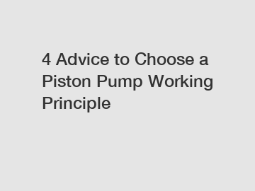 4 Advice to Choose a Piston Pump Working Principle