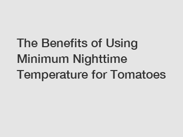 The Benefits of Using Minimum Nighttime Temperature for Tomatoes The Benefits of Using Minimum Nighttime Temperature for Tomatoes