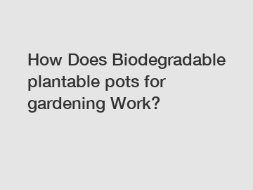 How Does Biodegradable plantable pots for gardening Work?