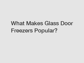 What Makes Glass Door Freezers Popular?