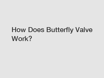 How Does Butterfly Valve Work?