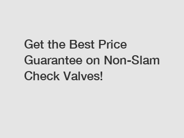 Get the Best Price Guarantee on Non-Slam Check Valves!