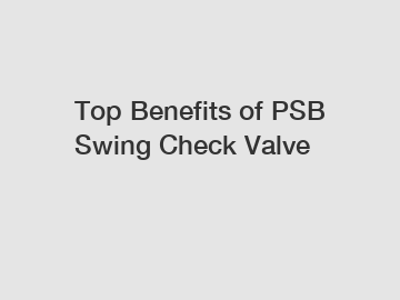 Top Benefits of PSB Swing Check Valve