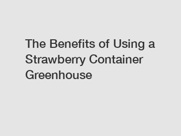 The Benefits of Using a Strawberry Container Greenhouse