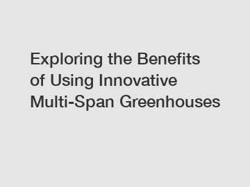 Exploring the Benefits of Using Innovative Multi-Span Greenhouses