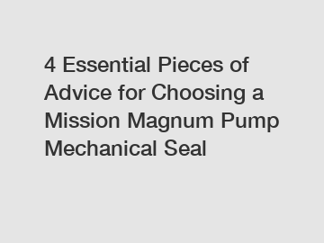 4 Essential Pieces of Advice for Choosing a Mission Magnum Pump Mechanical Seal