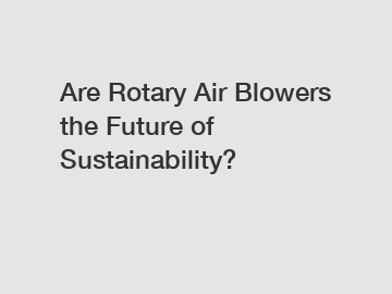 Are Rotary Air Blowers the Future of Sustainability?
