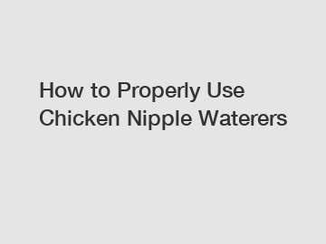 How to Properly Use Chicken Nipple Waterers