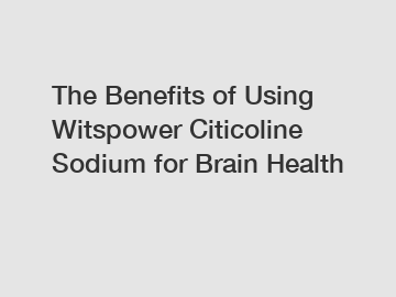 The Benefits of Using Witspower Citicoline Sodium for Brain Health