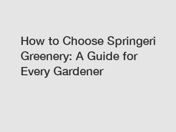 How to Choose Springeri Greenery: A Guide for Every Gardener