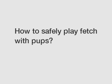 How to safely play fetch with pups?