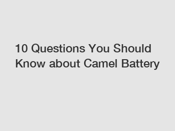 10 Questions You Should Know about Camel Battery