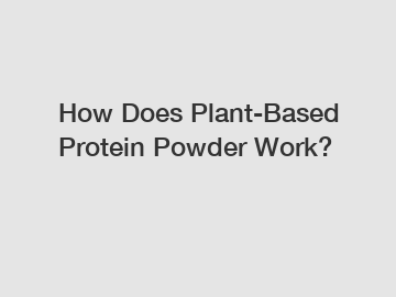 How Does Plant-Based Protein Powder Work?