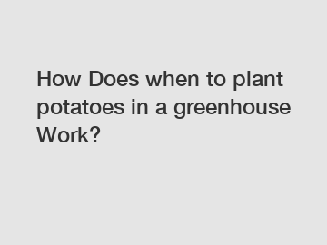 How Does when to plant potatoes in a greenhouse Work?