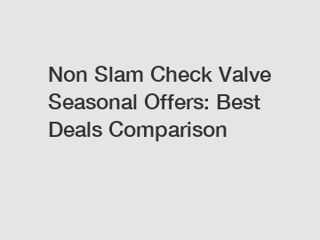 Non Slam Check Valve Seasonal Offers: Best Deals Comparison