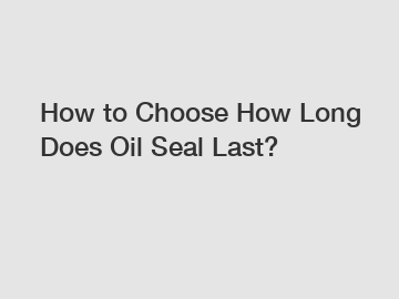 How to Choose How Long Does Oil Seal Last?