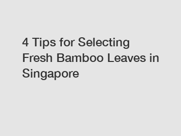 4 Tips for Selecting Fresh Bamboo Leaves in Singapore