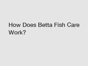 How Does Betta Fish Care Work?