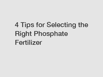 4 Tips for Selecting the Right Phosphate Fertilizer