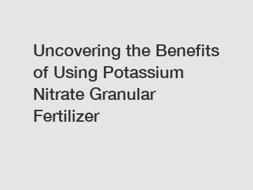 Uncovering the Benefits of Using Potassium Nitrate Granular Fertilizer