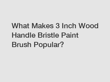 What Makes 3 Inch Wood Handle Bristle Paint Brush Popular?