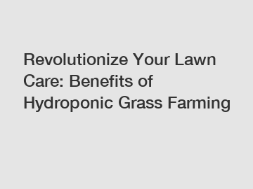 Revolutionize Your Lawn Care: Benefits of Hydroponic Grass Farming