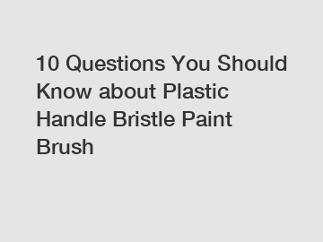 10 Questions You Should Know about Plastic Handle Bristle Paint Brush