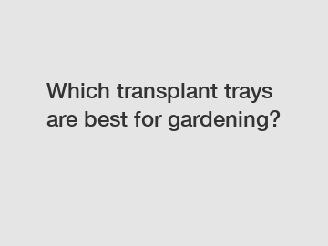 Which transplant trays are best for gardening?