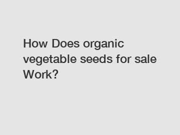 How Does organic vegetable seeds for sale Work?