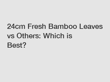 24cm Fresh Bamboo Leaves vs Others: Which is Best?