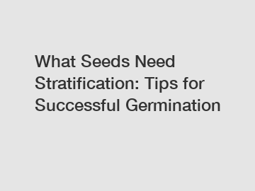 What Seeds Need Stratification: Tips for Successful Germination